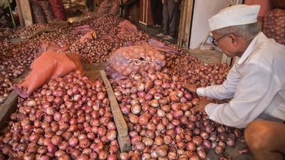 A worker sorts onions at an APMC market as onion prices soar across the country. (PTI)
