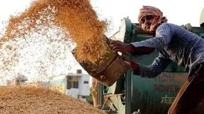 Total summer foodgrains output is expected at 148.6 million tonnes (Representative Photo)