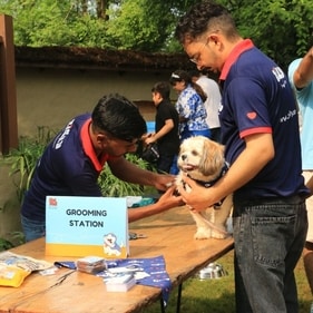 Free grooming sessions will be available for your doggo at this party. Free grooming sessions will be available for your doggo at this party.