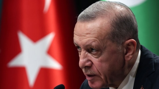 Israel-Hamas War: Turkish President Recep Tayyip Erdogan speaks. (AFP)