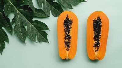 1. Papaya Leaves: Drinking papaya leaf juice has been found to be very effective in recovering from dengue fever. (Pexels) 1. Papaya Leaves: Drinking papaya leaf juice has been found to be very effective in recovering from dengue fever. (Pexels)