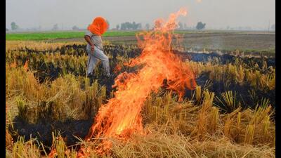 Punjab on Sunday recorded 1,068 farm fires, the highest in a single day this season, taking the total incidents of stubble burning to 5,254. Punjab on Sunday recorded 1,068 farm fires, the highest in a single day this season, taking the total incidents of stubble burning to 5,254.