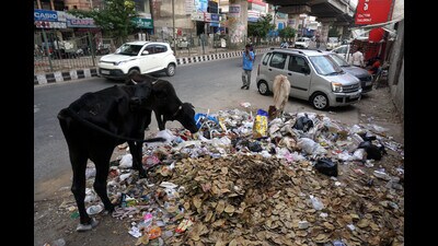 The central zone, with 25 wards, produces around 1,000 tonnes of waste daily. (HT Archive)