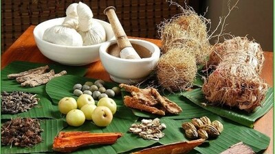 In an interview with Zarafshan Shiraz of HT Lifestyle, Dr Ipsa Singh, BAMS, Teleconsultation Manager at NirogStreet, shared, "Ayurveda’s natural ingredient-based approach is highly effective not only for the prevention of diseases like dengue but also for boosting immunity to fight against health challenges, including dengue, without any side effects. Some medical systems tend to weaken the body, making it challenging to recover from the disease and the medication. Ayurveda, on the other hand, treats the body while taking care of its nourishment needs, without putting additional pressure on the body during the healing process. Ingredients such as Eucalyptus, Neem Oil, Tulsi Oil, and even burning Pepper sticks are effective in keeping mosquitoes away.” (Pinterest) In an interview with Zarafshan Shiraz of HT Lifestyle, Dr Ipsa Singh, BAMS, Teleconsultation Manager at NirogStreet, shared, "Ayurveda’s natural ingredient-based approach is highly effective not only for the prevention of diseases like dengue but also for boosting immunity to fight against health challenges, including dengue, without any side effects. Some medical systems tend to weaken the body, making it challenging to recover from the disease and the medication. Ayurveda, on the other hand, treats the body while taking care of its nourishment needs, without putting additional pressure on the body during the healing process. Ingredients such as Eucalyptus, Neem Oil, Tulsi Oil, and even burning Pepper sticks are effective in keeping mosquitoes away.” (Pinterest)