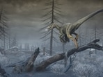 Back in 1980, father-and-son scientists Luis and Walter Alvarez first proposed that the dinosaurs were killed off by an asteroid strike that shrouded the world in dust.