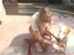 Dutch woman Meral Bontenbel with the street dog she adopted. Dutch woman Meral Bontenbel with the street dog she adopted.