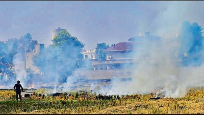 A local farmer burning stubble in his farm, despite bans, in Ludhiana. (Gurpreet Singh/ HT) A local farmer burning stubble in his farm, despite bans, in Ludhiana. (Gurpreet Singh/ HT)