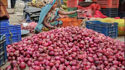 Currently, the rate of onion in the open market is ₹60-80/kg. (PTI) Currently, the rate of onion in the open market is ₹60-80/kg. (PTI)