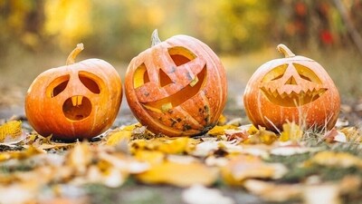 A big part of the Halloween festivities involves sending wishes to friends and family (Pixabay) A big part of the Halloween festivities involves sending wishes to friends and family (Pixabay)
