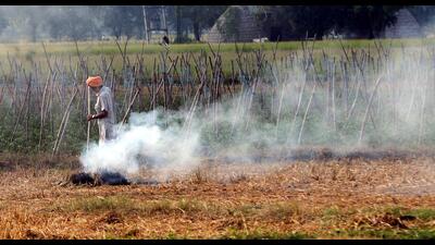 If farmers fail to pay the fine imposed by the government for burning paddy stubble, their children may face difficulties in getting a visa as a ‘no-dues’ certificate won’t be issued by the administration, Patiala deputy commissioner (DC) Sakshi Sawhney had said. (HT File) If farmers fail to pay the fine imposed by the government for burning paddy stubble, their children may face difficulties in getting a visa as a ‘no-dues’ certificate won’t be issued by the administration, Patiala deputy commissioner (DC) Sakshi Sawhney had said. (HT File)