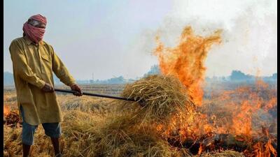 In Punjab, there were 5,254 farm fire incidents during this 45-day period this year, compared to 12,112 in 2022 and 9,001 in 2021, a reduction of 56.6% and 41.6%, respectively.