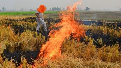 Punjab on Sunday recorded 1,068 farm fires, the highest in a single day this season, taking the total incidents of stubble burning to 5,254. Punjab on Sunday recorded 1,068 farm fires, the highest in a single day this season, taking the total incidents of stubble burning to 5,254.