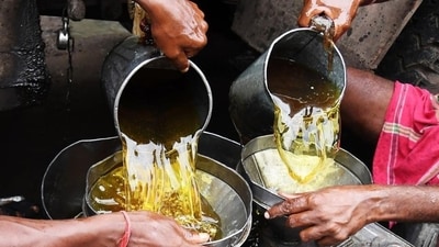 An August production estimate by the Spanish government proved the worst fears: a crisis in olive oil markets. (AFP) An August production estimate by the Spanish government proved the worst fears: a crisis in olive oil markets. (AFP)