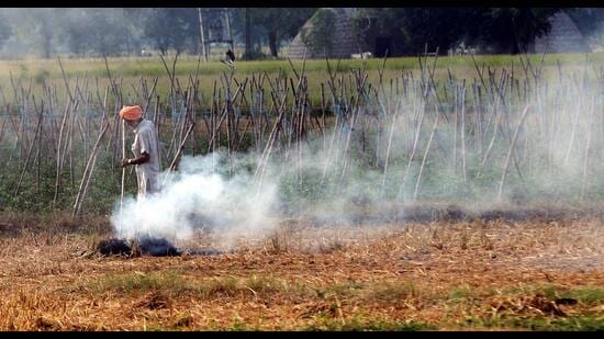If farmers fail to pay the fine imposed by the government for burning paddy stubble, their children may face difficulties in getting a visa as a ‘no-dues’ certificate won’t be issued by the administration, Patiala deputy commissioner (DC) Sakshi Sawhney had said. (HT File)