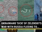 UKRAINIANS 'SICK' OF ZELENSKY'S WAR WITH RUSSIA FLEEING TO... UKRAINIANS 'SICK' OF ZELENSKY'S WAR WITH RUSSIA FLEEING TO...