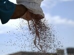 A study suggests that fertilizer for soybeans in Brazil could be linked to child cancer deaths. A study suggests that fertilizer for soybeans in Brazil could be linked to child cancer deaths.
