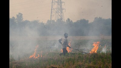 A farmer burns paddy stubble at a field, near Jalandhar on Tuesday. (PTI)