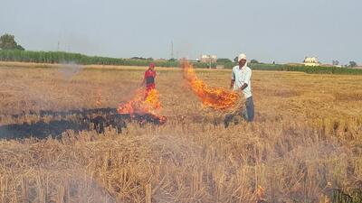 A farmer setting paddy stubble on fire after the harvesting the crop in Haryana. (HT Photo) A farmer setting paddy stubble on fire after the harvesting the crop in Haryana. (HT Photo)
