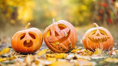 With the Halloween Moon gracing the sign of Gemini on October 31, the celestial energies encourage you to embrace the holiday spirit by saying "yes" to every Halloween party invitation (Pixabay) With the Halloween Moon gracing the sign of Gemini on October 31, the celestial energies encourage you to embrace the holiday spirit by saying "yes" to every Halloween party invitation (Pixabay)