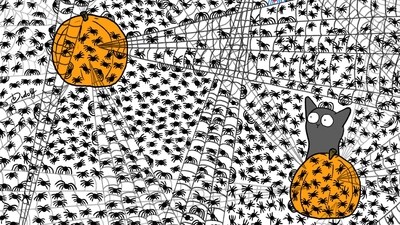 Brain Teaser: How quickly can you spot seven flies among spiders? (Facebook/@thedudolf)