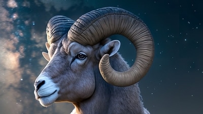 Aries Monthly Horoscope for November, 23: The universe is conspiring in your favor, so don't hesitate to take bold steps towards your goals and dreams.