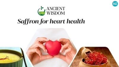 In ancient times saffron was used by Egyptians for flavouring as well as an aphrodisiac apart from perfume. In ancient times saffron was used by Egyptians for flavouring as well as an aphrodisiac apart from perfume.