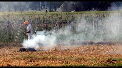 As per the state’s official data, the number of farm fires on November 1, 2022, stood at 2,083 against 1,296 this year. Fatehabad district with 235 field fires so far has the most cases followed by Kaithal 176, Jind 169, Ambala 165, and Kurukshetra 133. (HT File)