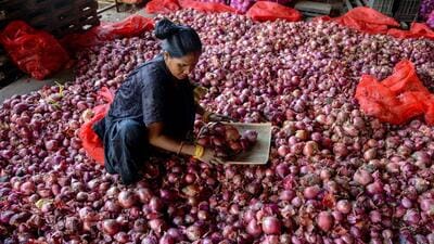 Centre starts selling onions to at a subsidised rate to cool prices by boosting availability. (ANI) Centre starts selling onions to at a subsidised rate to cool prices by boosting availability. (ANI)