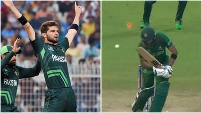 Shaheen Afridi celebrates the dismissal of Mahmudullah (ICC) Shaheen Afridi celebrates the dismissal of Mahmudullah (ICC)