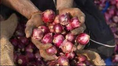 U.P. mulls selling onion at wholesale rate (Pic for representation) U.P. mulls selling onion at wholesale rate (Pic for representation)