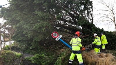 Municipal employees cut and move fallen trees in Ile Tudy, western France, on November 2 as the storm Ciaran hits the region. (AFP) Municipal employees cut and move fallen trees in Ile Tudy, western France, on November 2 as the storm Ciaran hits the region. (AFP)