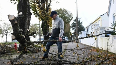 A retired man cuts a fallen tree in front of his house in Saint-Nazaire, western France, on November 2 as storm Ciaran hits the region. (AFP) A retired man cuts a fallen tree in front of his house in Saint-Nazaire, western France, on November 2 as storm Ciaran hits the region. (AFP)