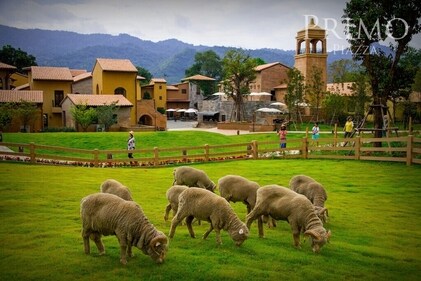 Khao Yai is one of Thailand’s largest and most abundant nature reserves. (Tourism Authority of Thailand, Mumbai)