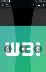 To skip to a particular portion of the clip, simply double-tap the screen (Image courtesy: WABetaInfo) To skip to a particular portion of the clip, simply double-tap the screen (Image courtesy: WABetaInfo)