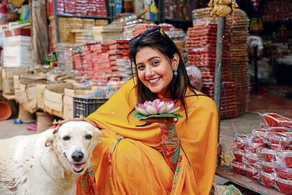 Anjali, who is a parent to three pooches, urges people to celebrate Diwali without creating noise pollution. (Photo: Gokul VS/HT) Anjali, who is a parent to three pooches, urges people to celebrate Diwali without creating noise pollution. (Photo: Gokul VS/HT)