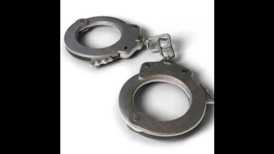 The Shimla police’s efforts to combat the growing menace of chitta, a drug derived from opium, have yielded significant results. Over the past 10 months, the police apprehended 610 individuals involved in chitta drug-related activities, marking a 140% increase in arrests compared to previous years. (Representational image)