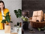 Diwali gifts 2023: 5 thoughtful and eco-friendly Deepawali gift ideas Diwali gifts 2023: 5 thoughtful and eco-friendly Deepawali gift ideas