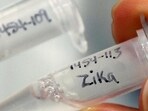 Suspected or confirmed cases should remain isolated and take sufficient rest, consume lot of liquids and sleep under mosquito nets, the advisory stated.