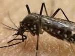 K'taka govt writes to central govt on Zika virus, says situation under control
