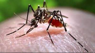 34 serum samples, including those diagnosed with fever, have been submitted, the govt told the health ministry (HT Archives) 34 serum samples, including those diagnosed with fever, have been submitted, the govt told the health ministry (HT Archives)