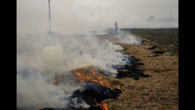 A farmer burns paddy stubble at a field, on the outskirts of Jalandhar on Friday. (PTI) A farmer burns paddy stubble at a field, on the outskirts of Jalandhar on Friday. (PTI)