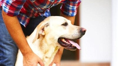 This Bengaluru apartment charges ₹10,000 as ‘pet maintenance fee', called out This Bengaluru apartment charges ₹10,000 as ‘pet maintenance fee', called out