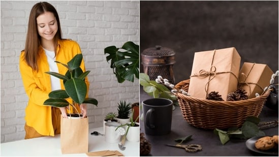 Diwali gifts 2023: 5 thoughtful and eco-friendly Deepawali gift ideas (Freepik)