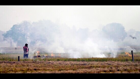 The air quality index was recorded at 245, falling in the ‘poor’ category. (HT Photo)
