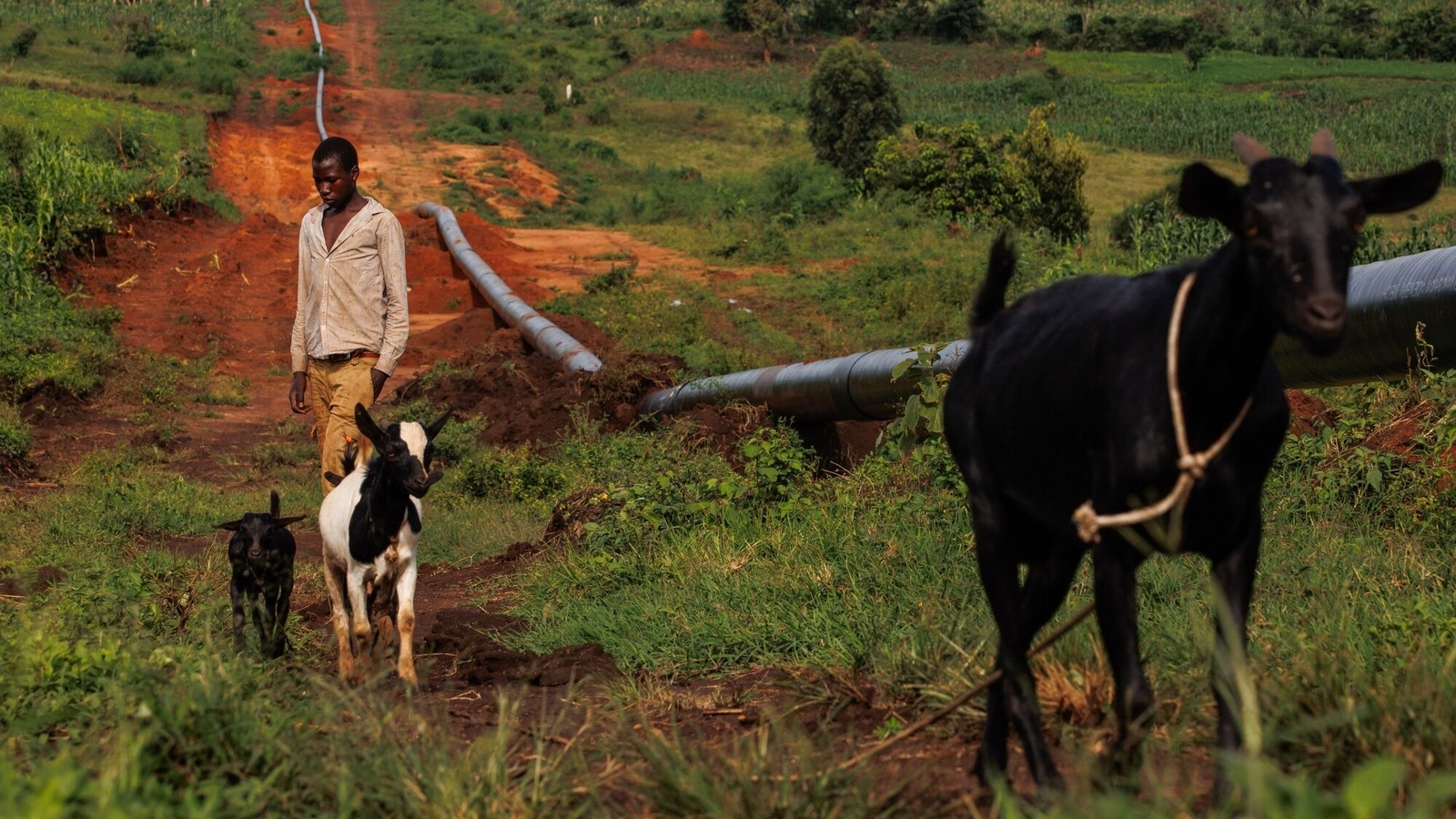 Herders and farmers seek reasons for east Africa's drought - Vimarsana News
