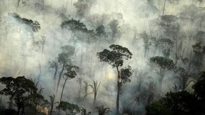 Rich nations remain non-commital in being the main contributors to the climate loss and damage fund. (REUTERS) Rich nations remain non-commital in being the main contributors to the climate loss and damage fund. (REUTERS)