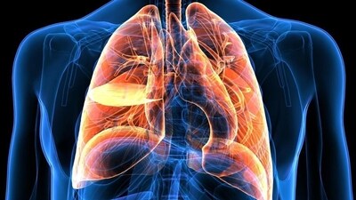 Individuals with pre-existing lung diseases like asthma, bronchitis, COPD, or respiratory infections are at a high risk due to exposure to poor-quality air. (Shutterstock) Individuals with pre-existing lung diseases like asthma, bronchitis, COPD, or respiratory infections are at a high risk due to exposure to poor-quality air. (Shutterstock)