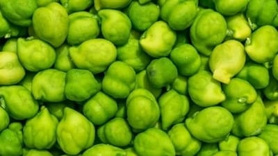 Green chana (jhinjra): It is important to eat a protein-rich diet to boost immunity and overall health. Green chickpeas are rich in protein, aiding muscle and tissue repair.&nbsp; 