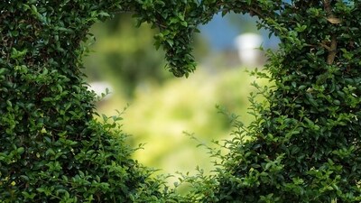 Daily Love and Relationship Horoscope 2023: Find out love predictions for November 5. Daily Love and Relationship Horoscope 2023: Find out love predictions for November 5.