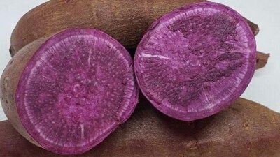 Purple yam (kand): A good source of antioxidants, it supports overall health and vitality.&nbsp; (Pinterest)